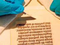 El ADN que descifró el origen de los manuscritos