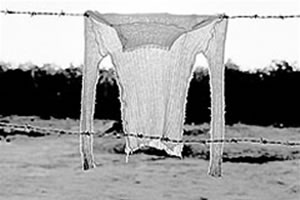 Exhiben 80 admirables fotos de Oscar Pintor 