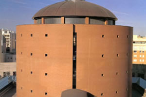 La exposición 