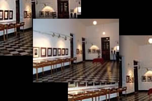 Nueva identidad del Museo de Bellas Artes de San Juan Franklin Rawson